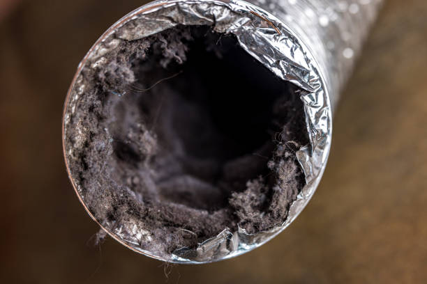 Best Residential Air Duct Cleaning  in Ocean Bluff Brant Rock, MA
